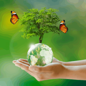 glowing-tree-globe-crystal-glass-ball-hand-with-butterfly-green-background-with-bokeh