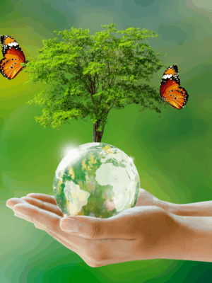 glowing-tree-globe-crystal-glass-ball-hand-with-butterfly-green-background-with-bokeh glowing-tree-globe-crystal-glass-ball-hand-with-butterfly-green-background-with-bokeh